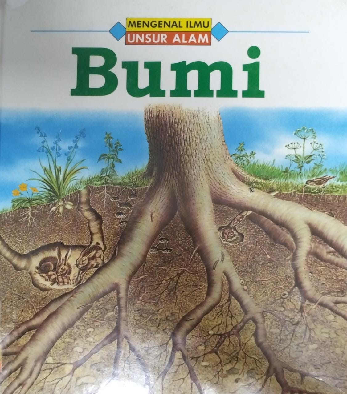 Mengenal Ilmu Unsur Alam Bumi