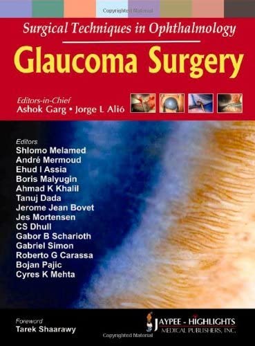 Surgical techniques in ophthalmology : glaucoma surgery / editor, Ashok Garg, Jorge L Alio