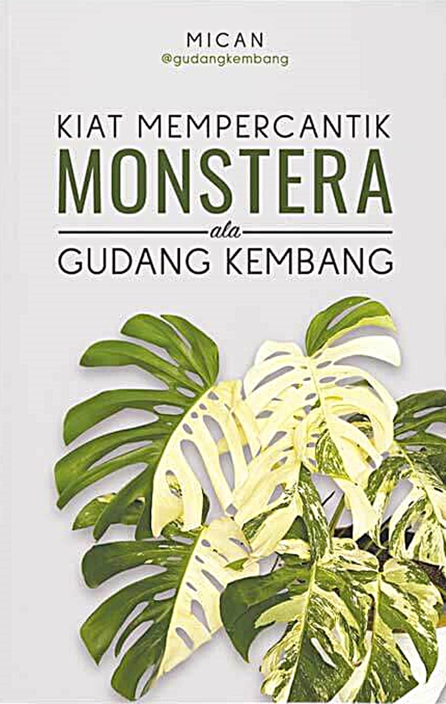 Kiat mempercantik Monstera ala Gudang Kembang