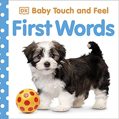 Baby Touch and Feel : First Words