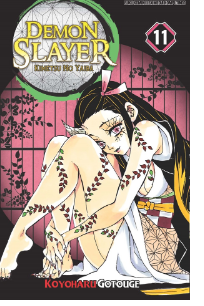 Demon slayer : kimetsu no yaiba 11