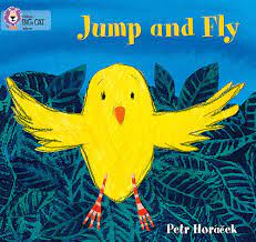 Jump and fly