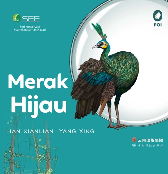 Merak hijau