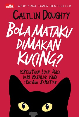 Bola mataku dimakan kucing? : pertanyaan luar biasa dari makhluk fana tentang kematian