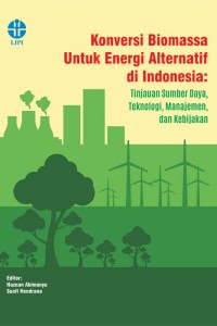 Konversi biomassa untuk energi alternatif di Indonesia : tinjauan sumber daya, teknologi, manajemen dan kebijakan