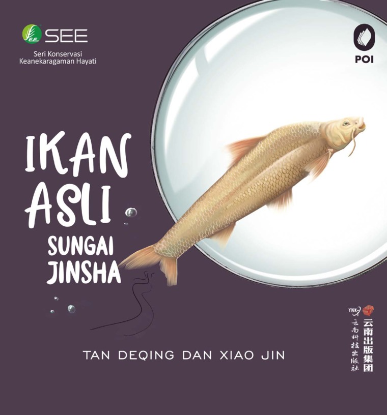 Ikan asli sungai Jinsha