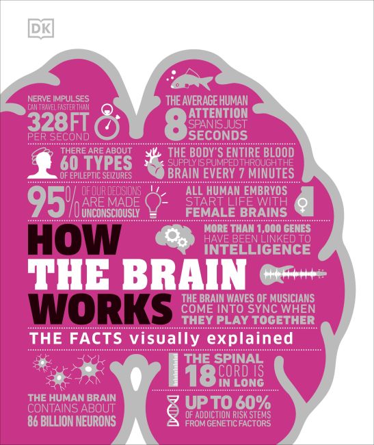 How the brain works