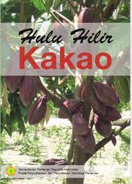 Hulu hilir kakao