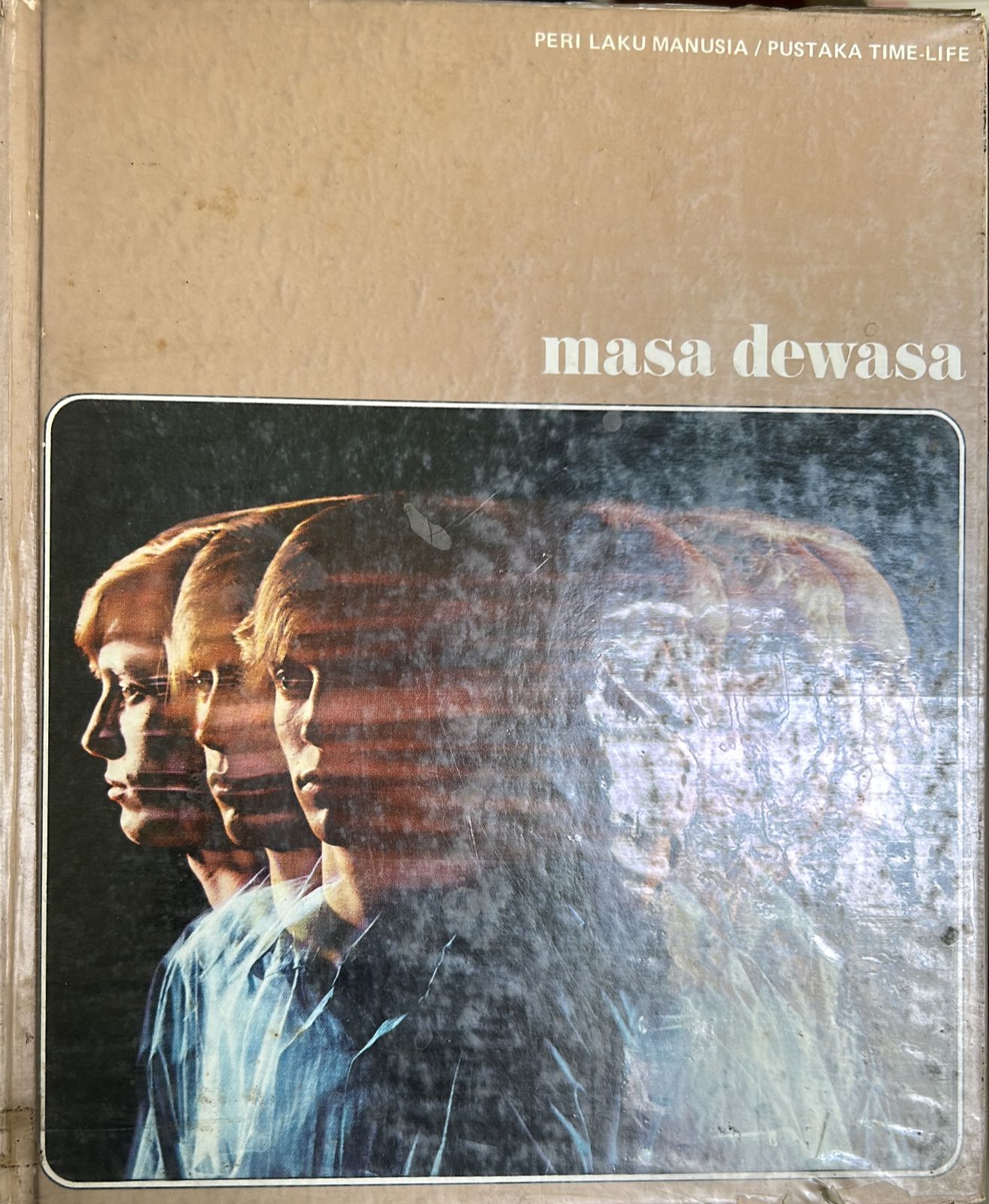Masa Dewasa