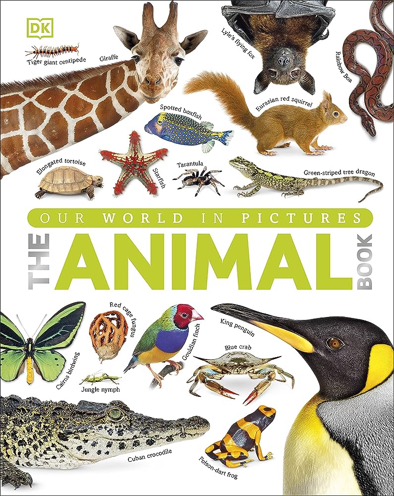 Our world in pictures : the animal book