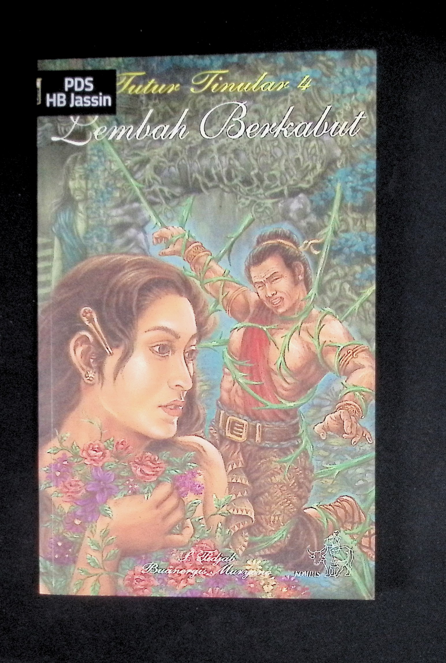 Tutur tinular 4 : lembah berkabut