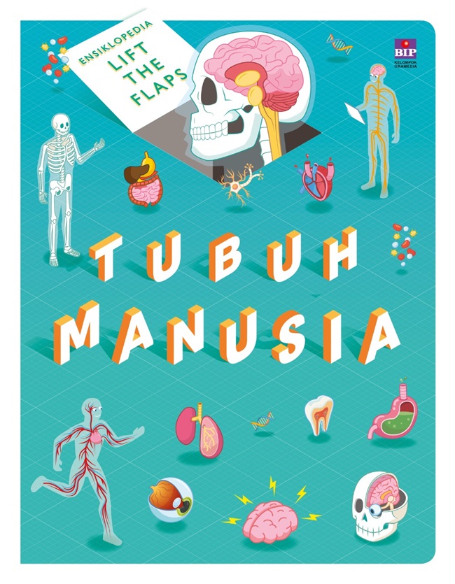Ensiklopedia lift the flaps : tubuh manusia
