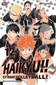Haikyu!! : fly high! volleyball - vol. 12