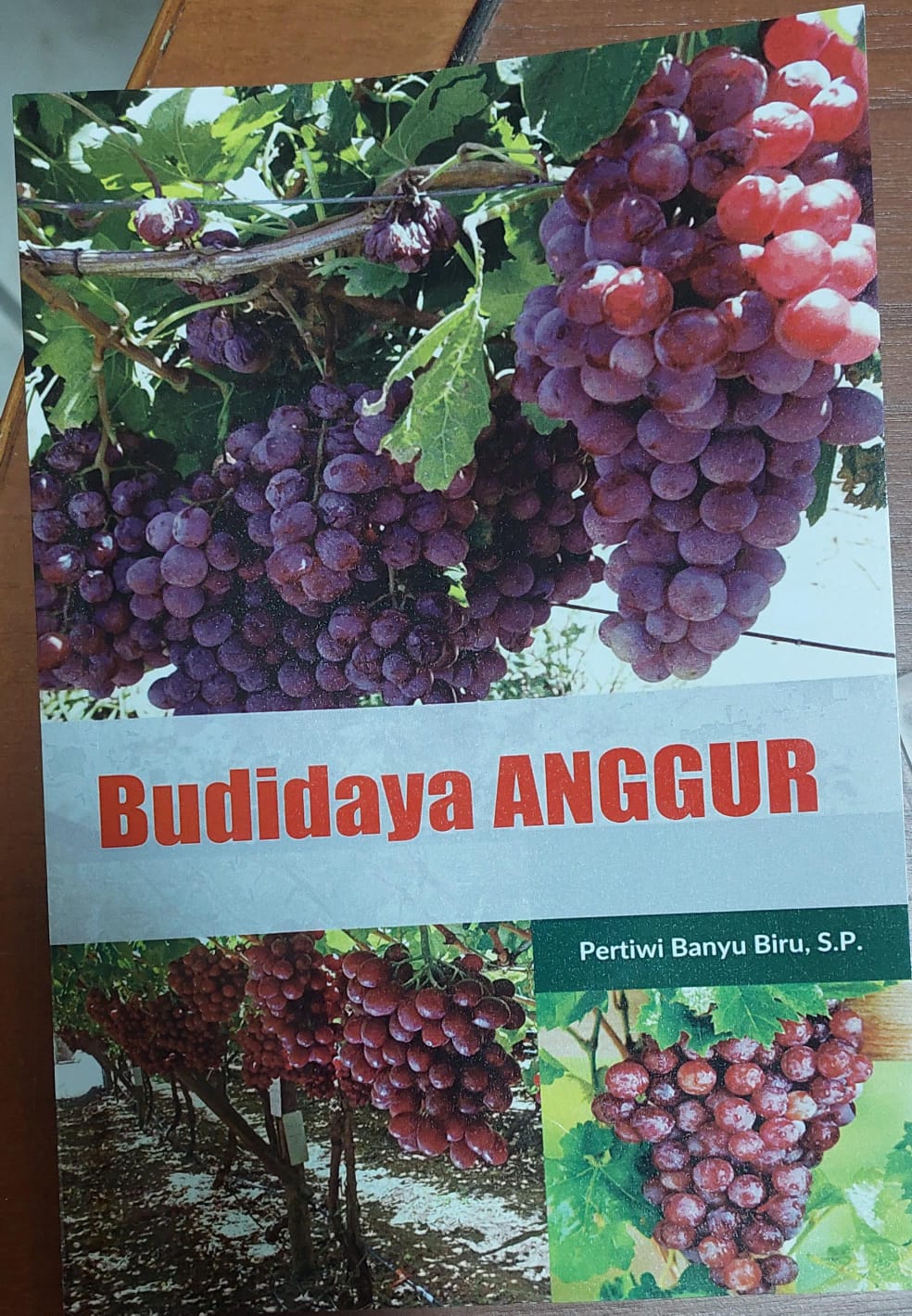 Budidaya anggur / Pertiwi Banyu Biru