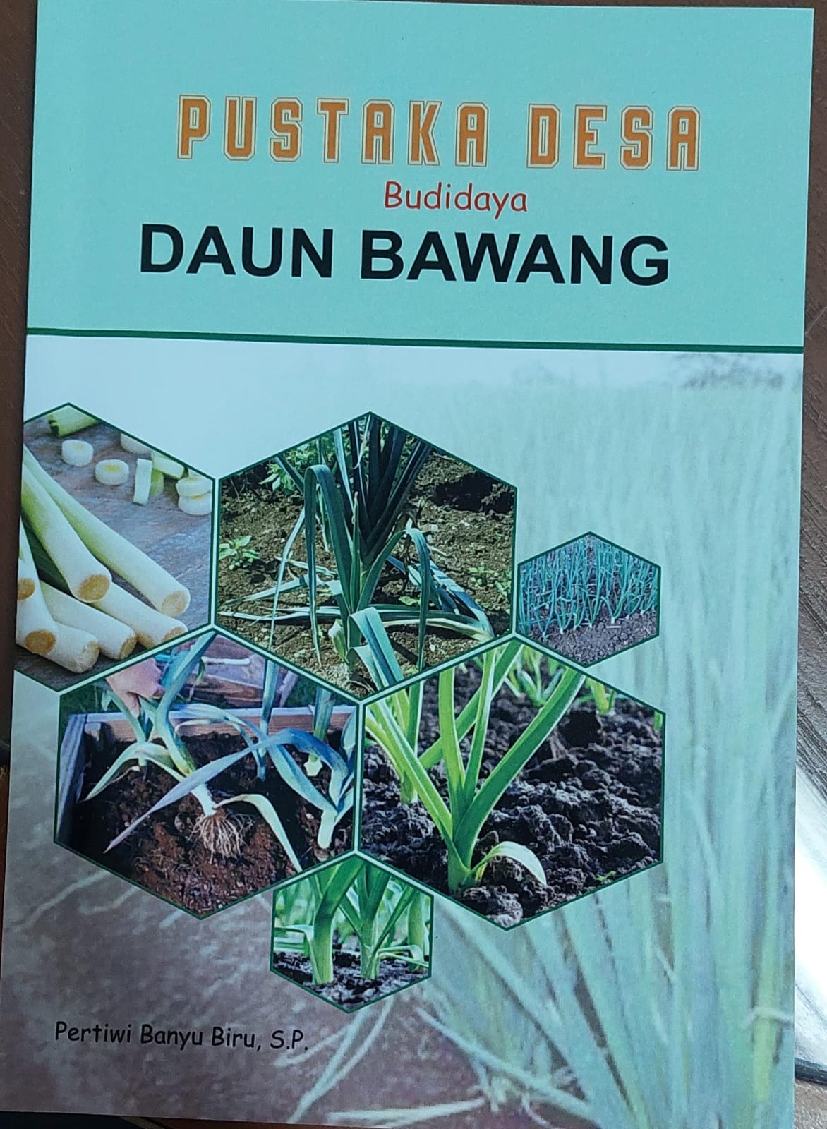 Budidaya daun bawang / Pertiwi Banyu Biru