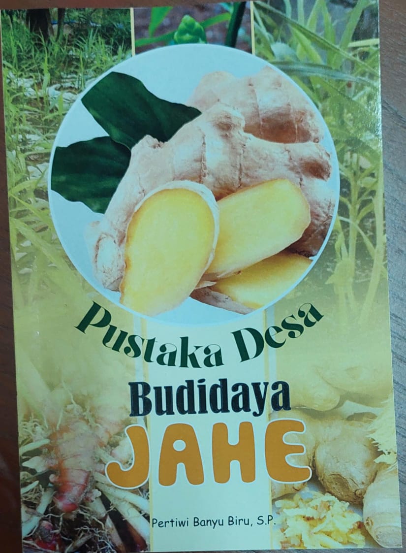 Budidaya jahe