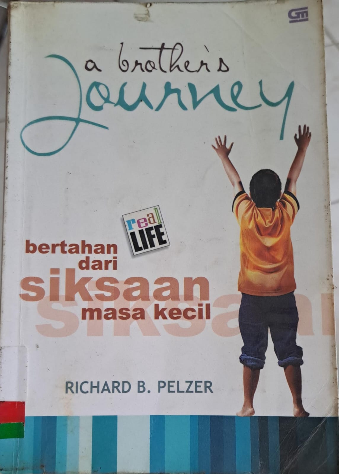 A brother's journey : Bertahan dari siksaan masa kecil
