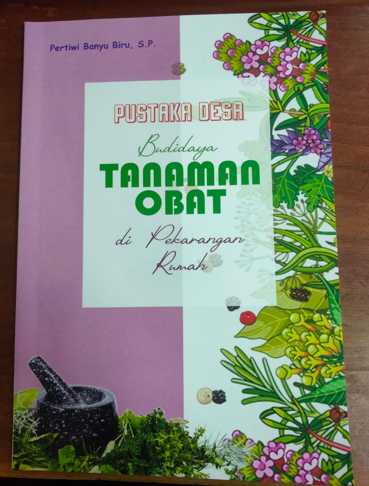 Pustaka desa : budidaya tanaman obat di pekarangan