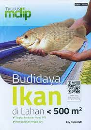 Budidaya ikan di lahan <500 m2