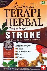 Ajaibnya terapi herbal tumpas penyakit stroke / Afin Murtie. editor, Anisa Ami.