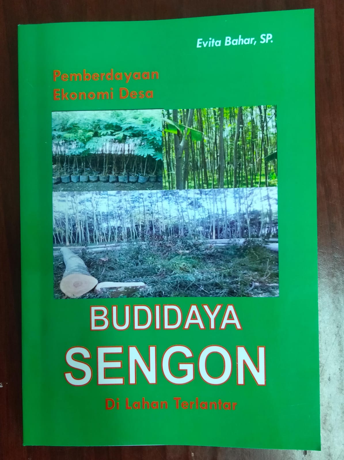 Pemberdayaan ekonomi desa : budidaya sengon di lahan terlantar