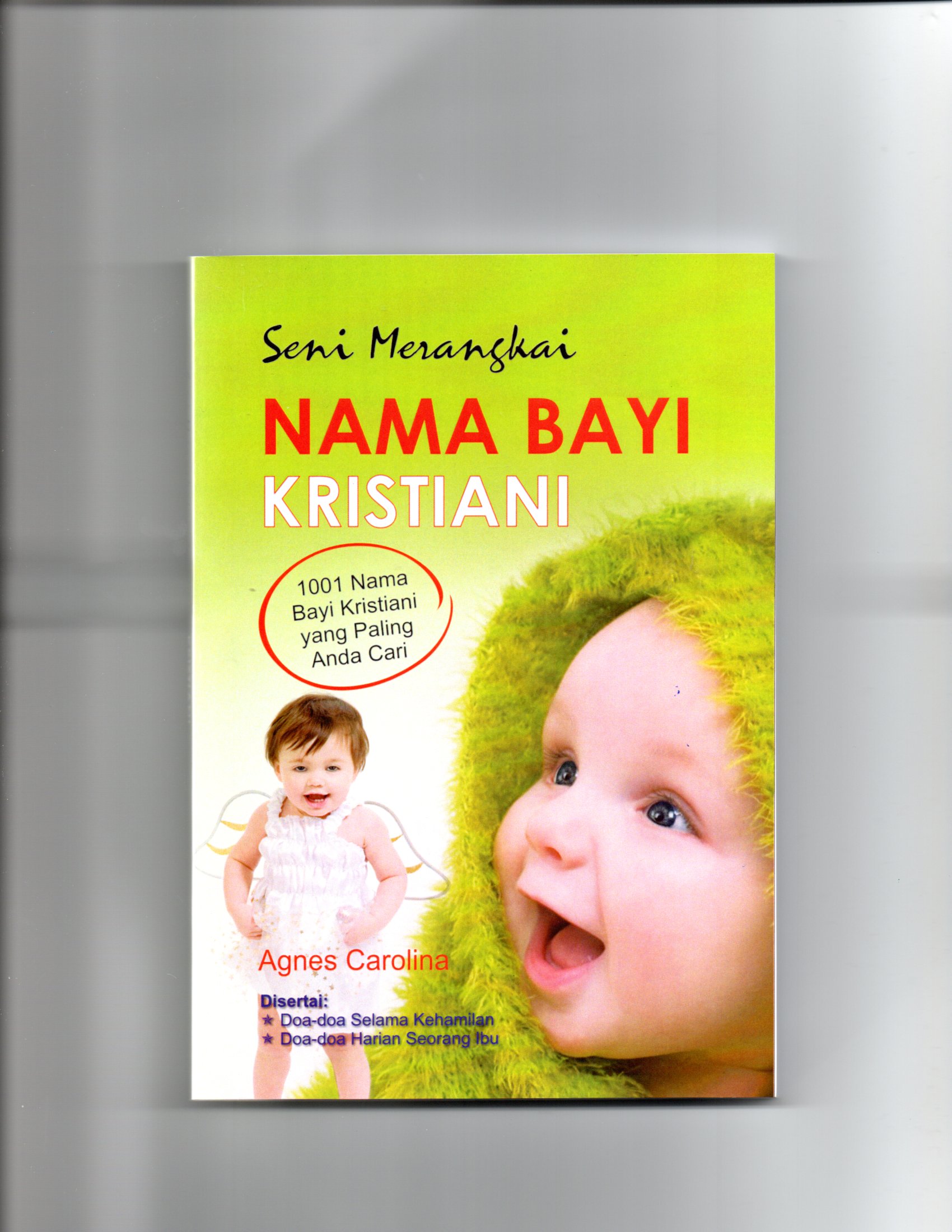 Seni merangkai nama bayi kristiani : 1001 nama bayi kristiani yang paling anda cari