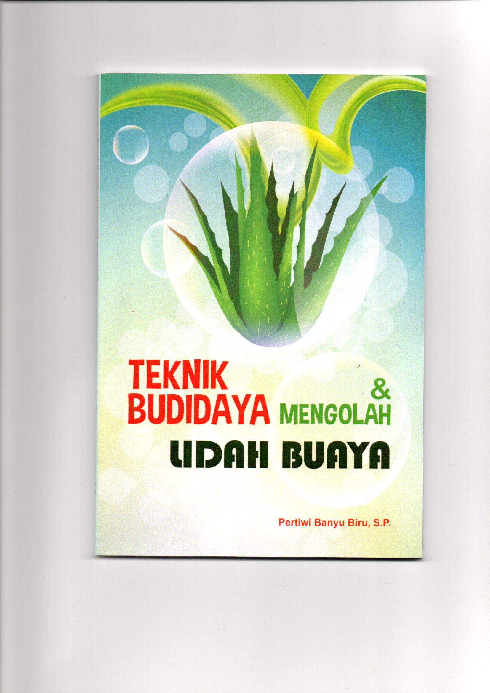Teknik budidaya dan mengolah lidah buaya