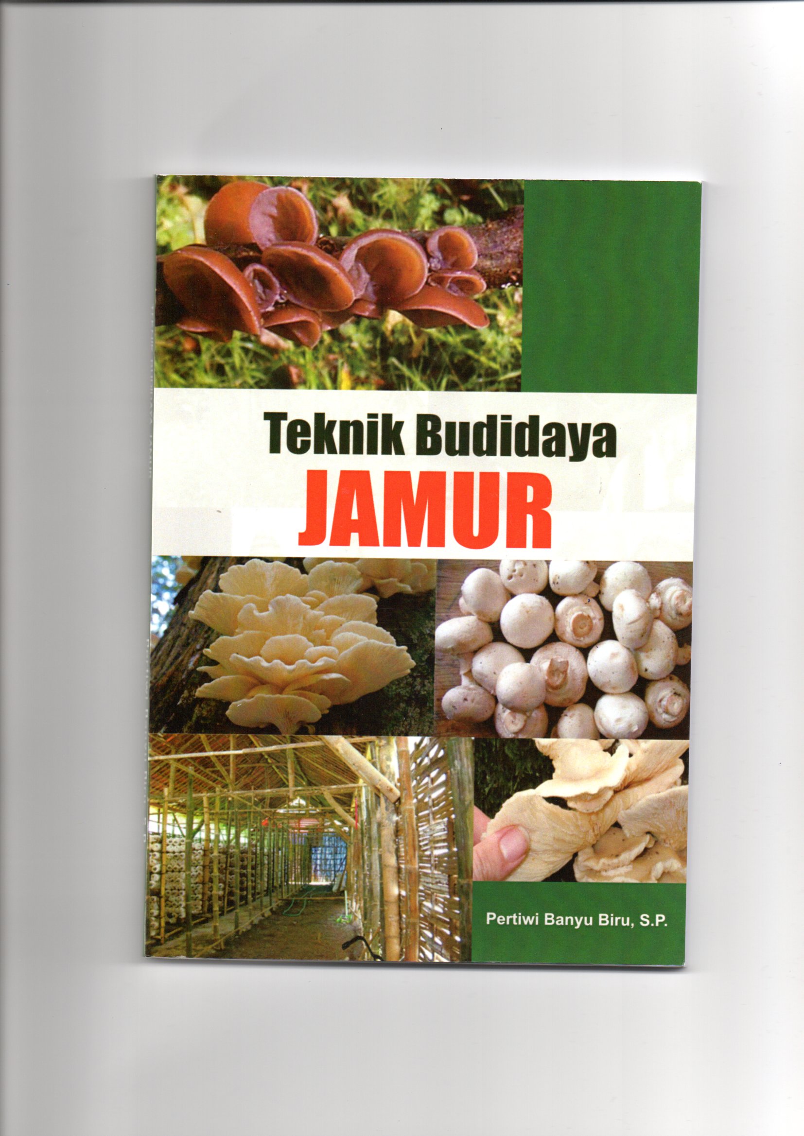 Teknik budidaya Jamur