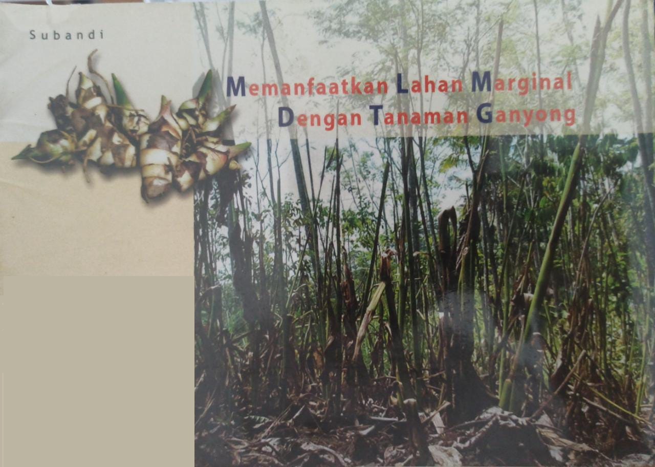 Memanfaatkan lahan marginal dengan tanaman ganyong