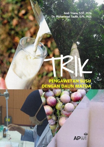 Trik pengawetan susu dengan daun matoa