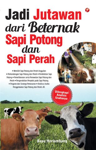 Jadi jutawan dari beternak sapi potong dan sapi perah