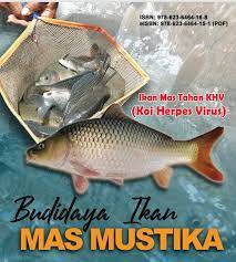 Petunjuk teknis budidaya ikan mas mustika