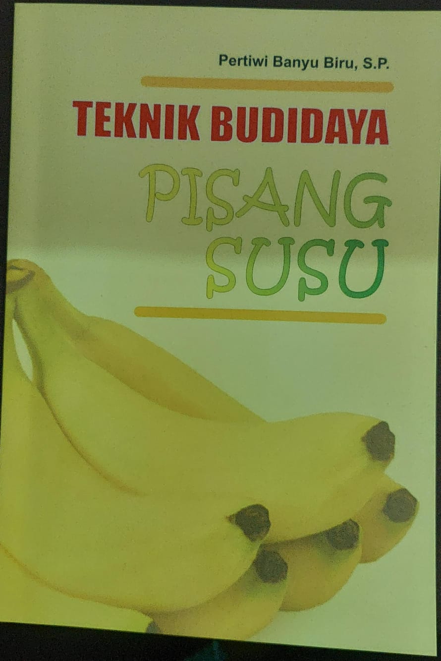 Teknik budidaya pisang susu