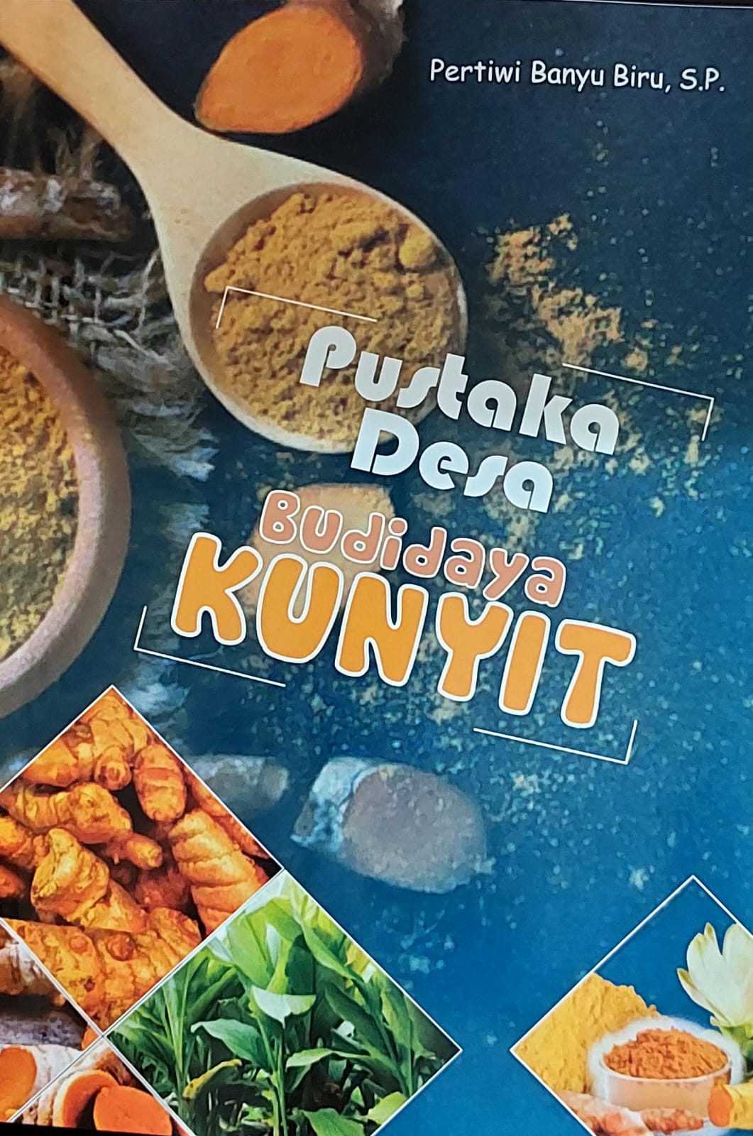 Budidaya kunyit