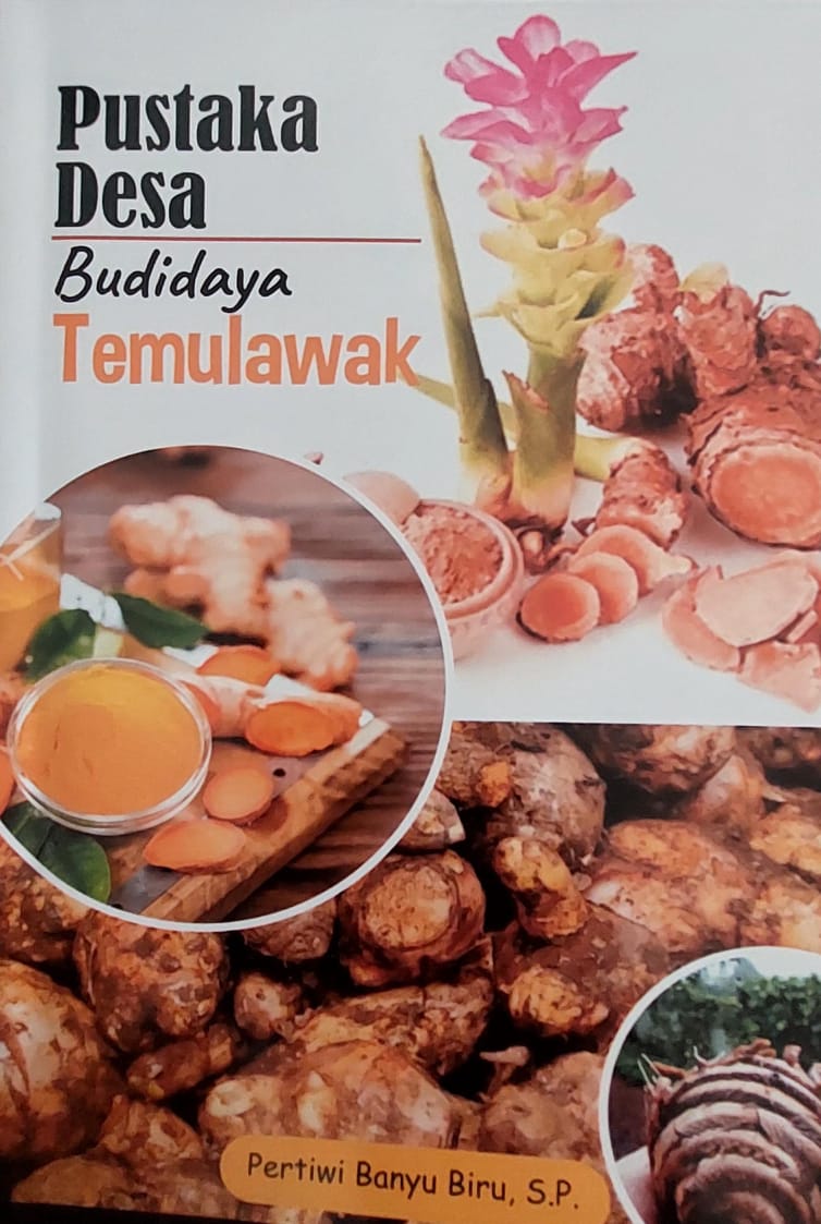 Budidaya temulawak