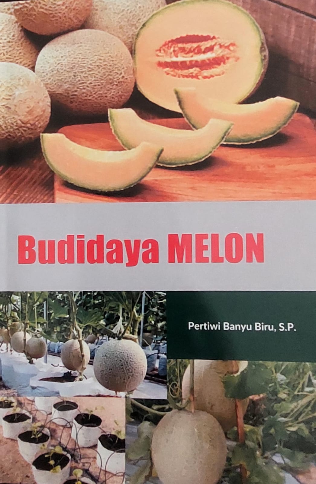 Budidaya melon / Pertiwi Banyu Biru
