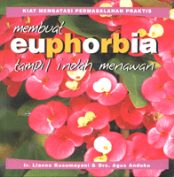 Membuat Euphorbia Tampil Indah Menawan
