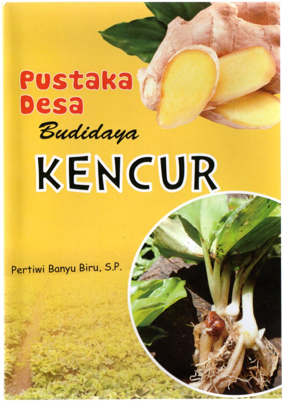 Pustaka desa : budidaya kencur