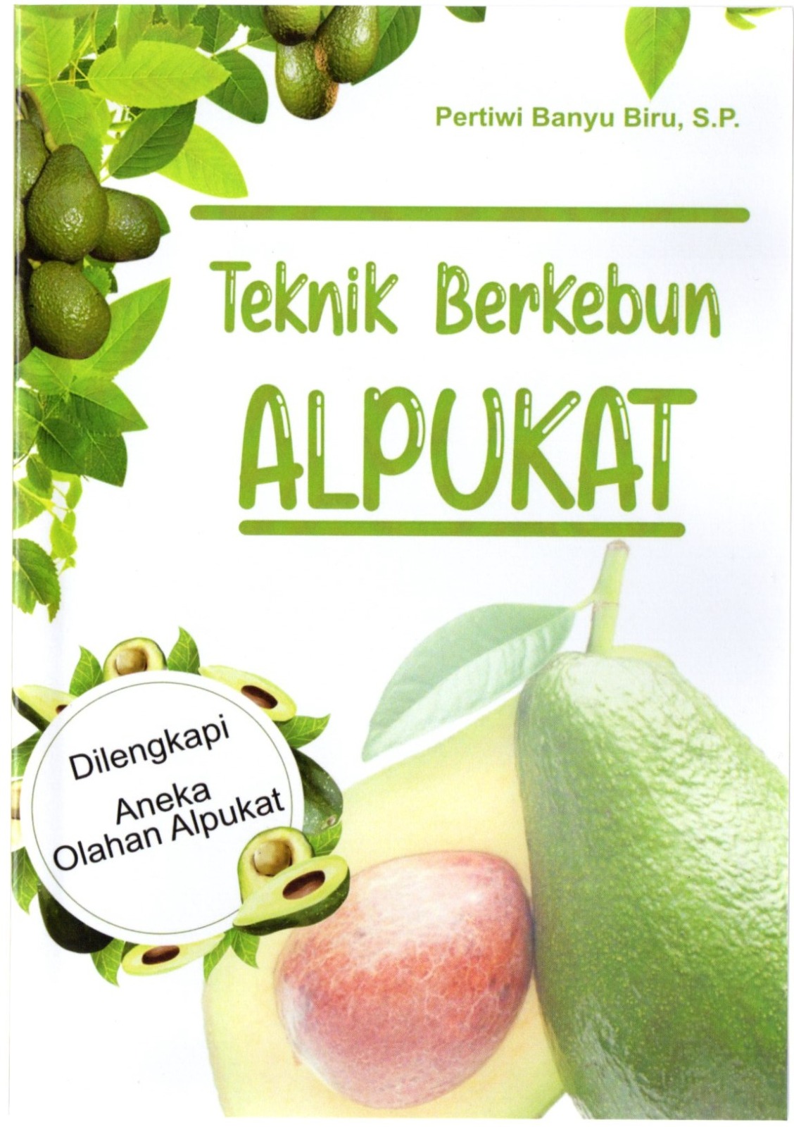 Teknik berkebun alpukat