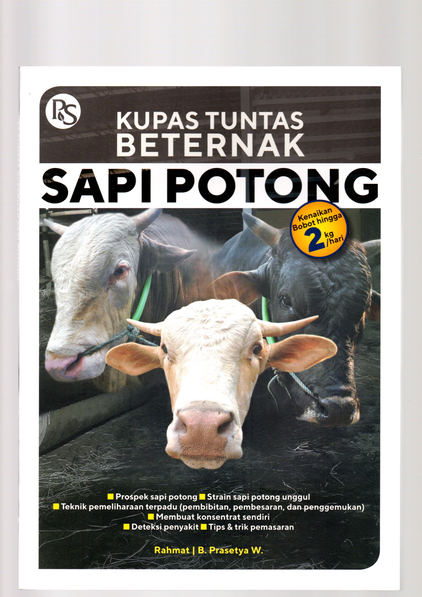 Kupas tuntas beternak sapi potong