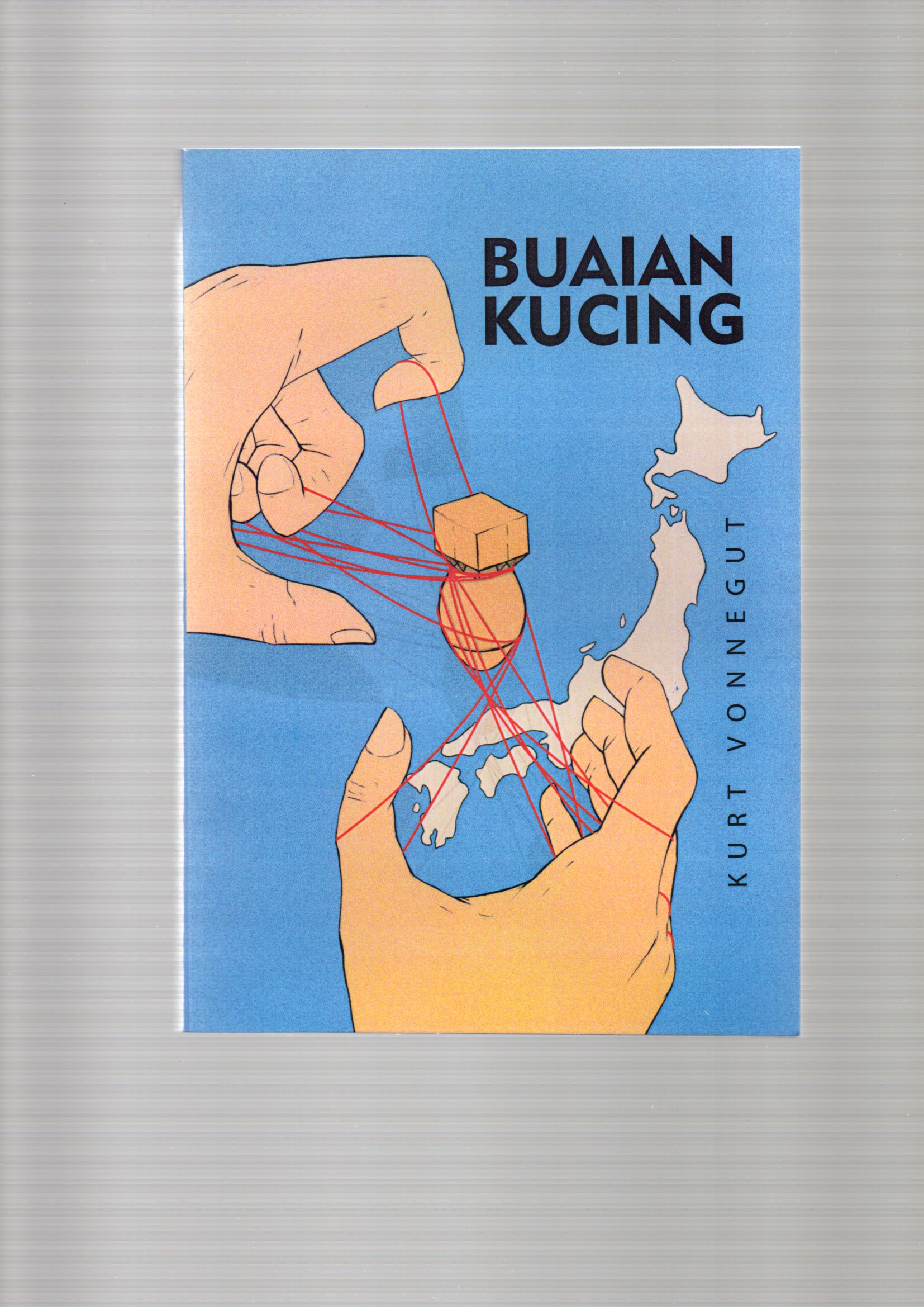 Buaian kucing