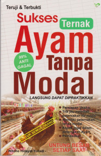 Sukses ternak ayam tanpa modal