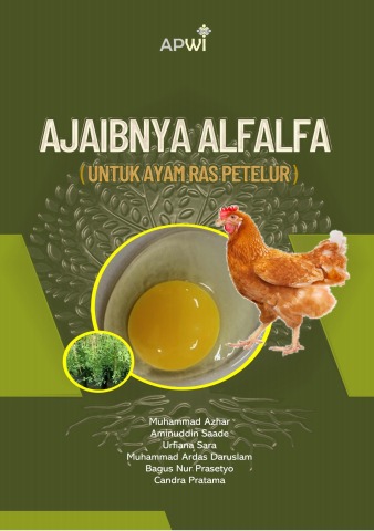 Ajaibnya alfalfa untuk ayam ras petelur