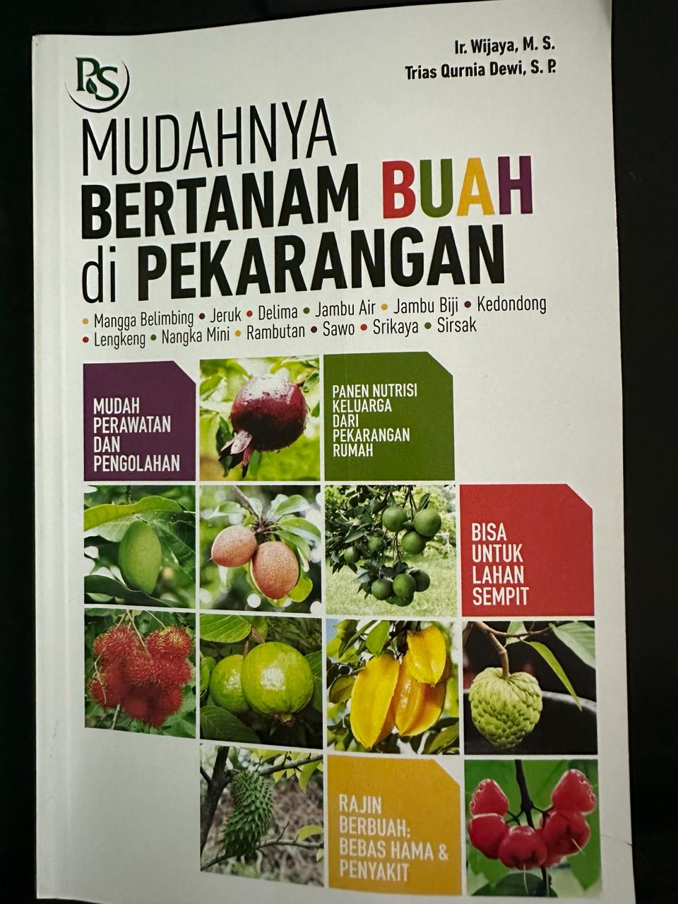 Mudahnya bertanam buah di pekarangan