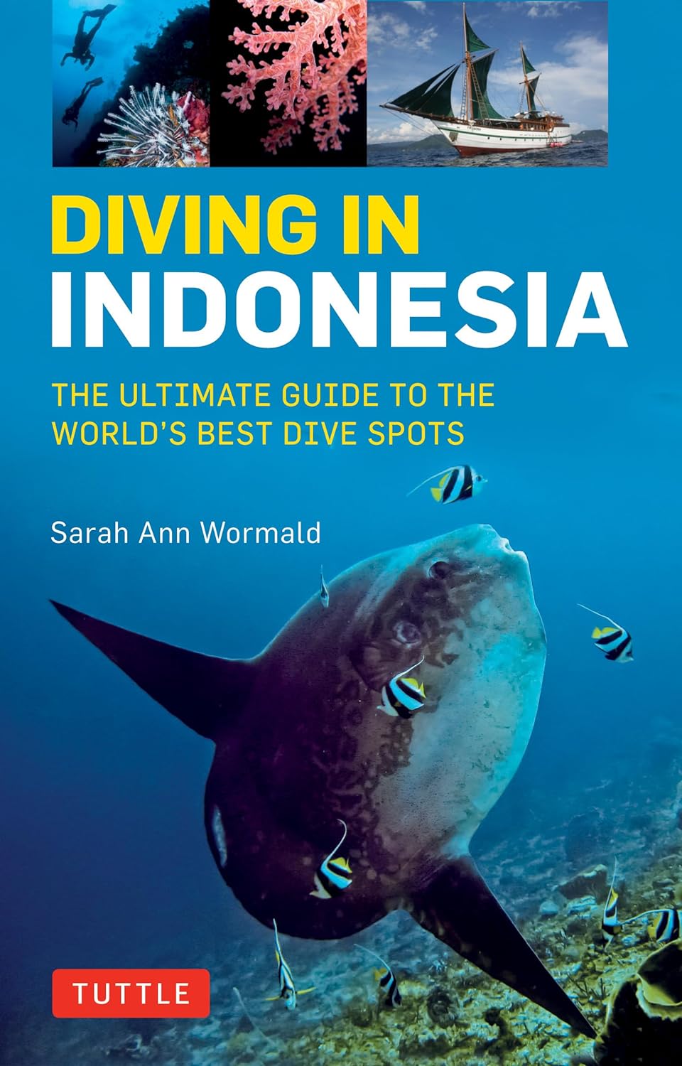 Diving in Indonesia : the ultimate guide to the world's best dive spots