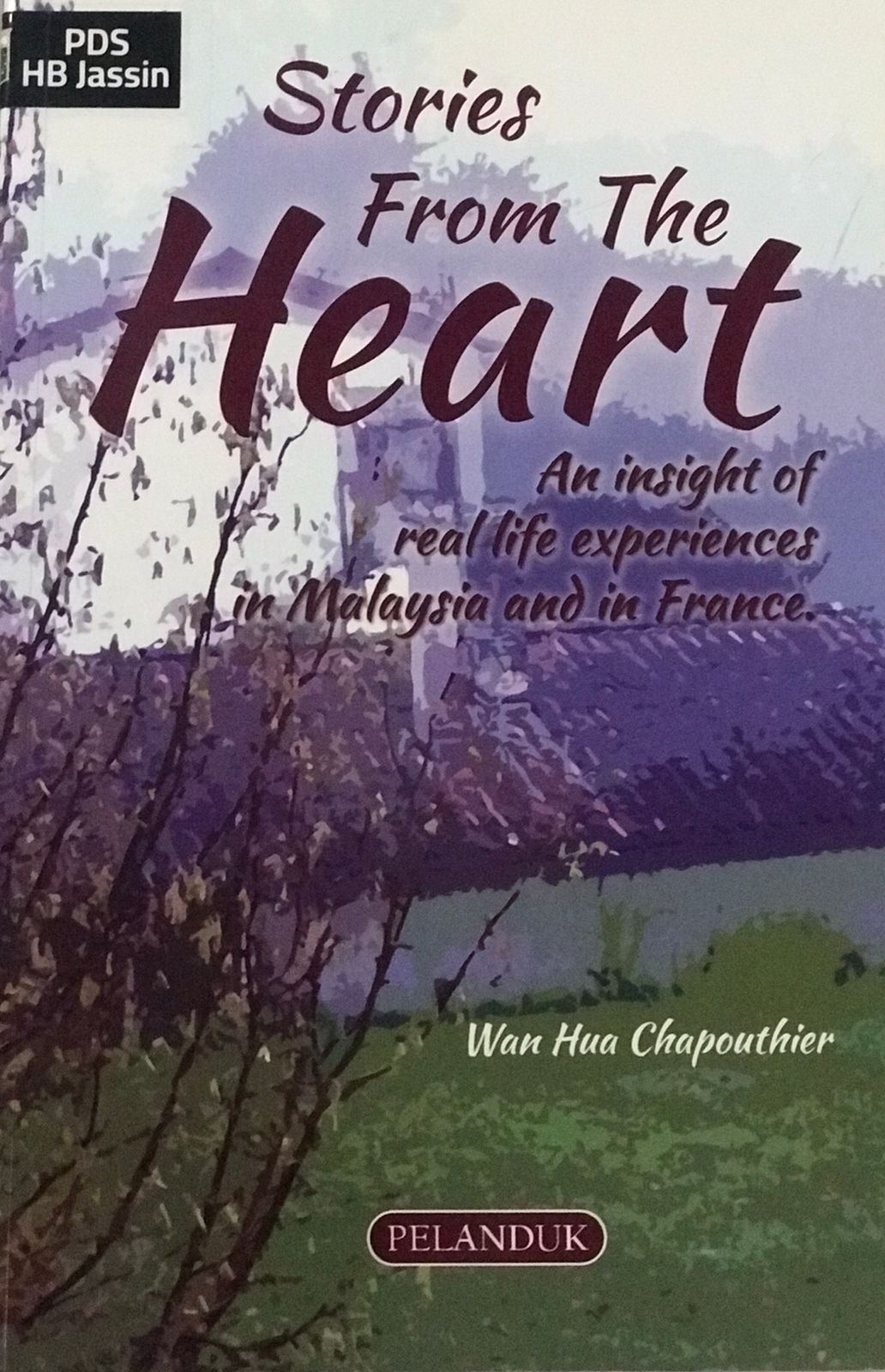 Stories from the heart :  An insight of real life experienxes in Malaysia and in France / Chapouthier Hua Wan