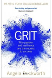 Grit :  why passion and resilience are the secrets to success / Angela Duckworth