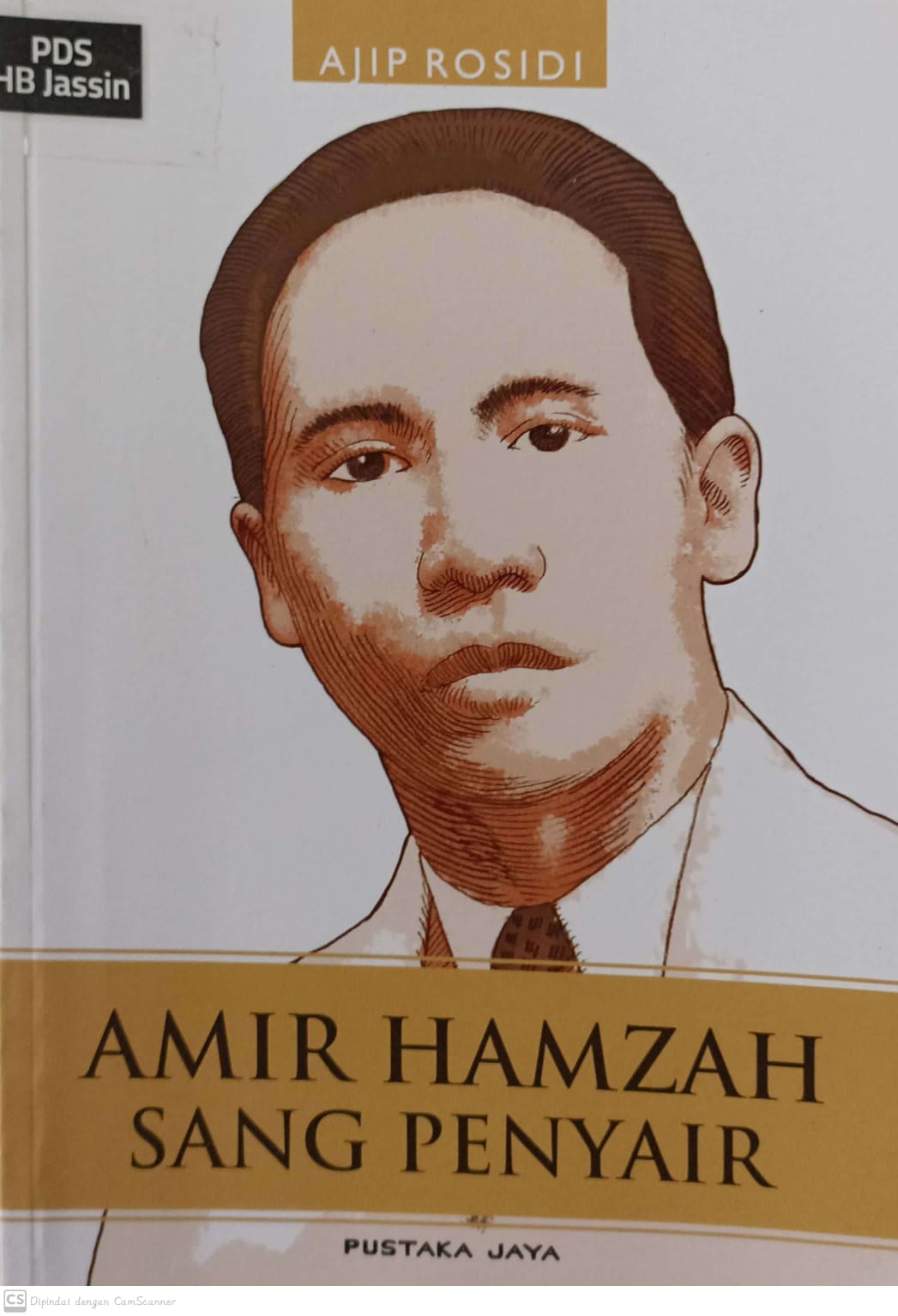 Amir hamzah sang penyair