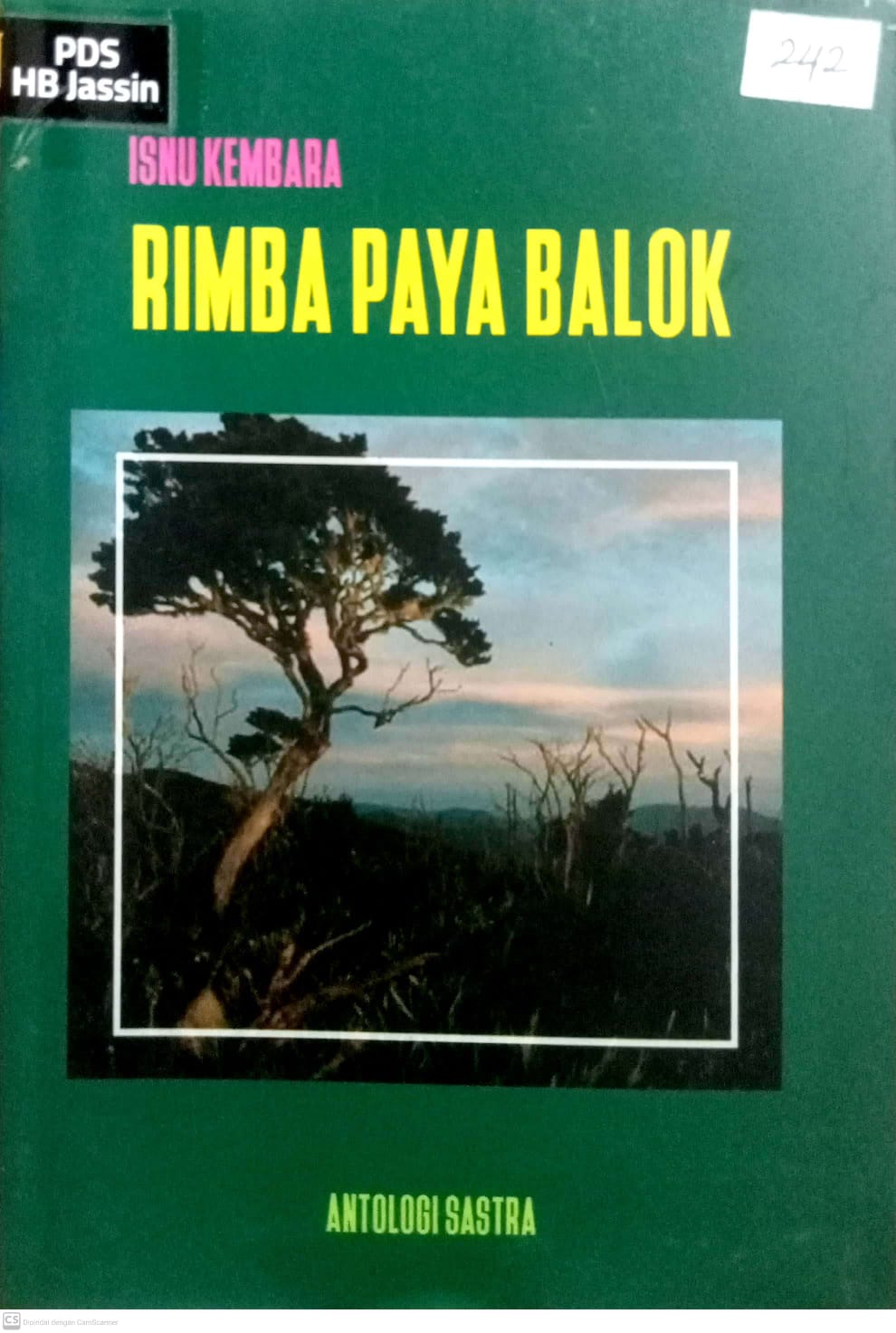 Rimba paya balok
