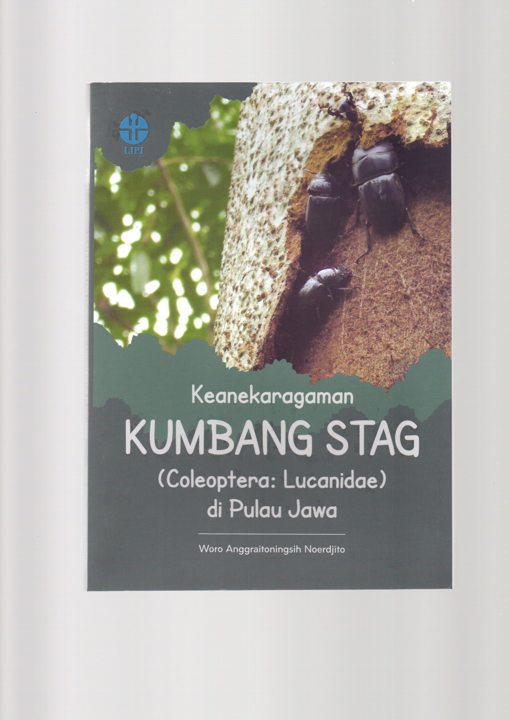 Keanekaragaman kumbang stag (coleoptera: lucanidae) di pulau Jawa